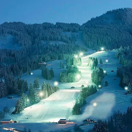 Alpenseehof نيسيلفانج