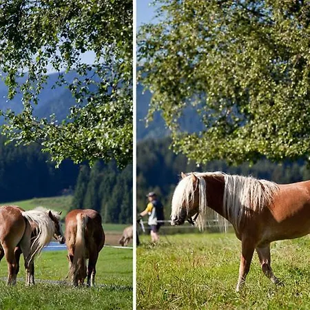 Alpenseehof * نيسيلفانج